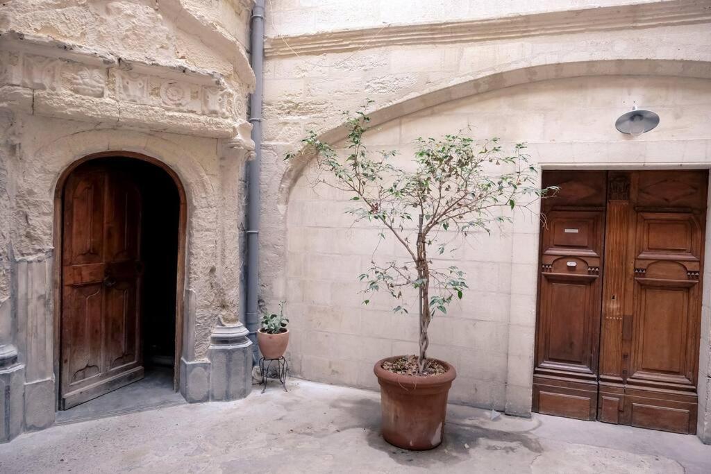 Noa - Mont Piete Studio Intramuros - Avignon Eksteriør bilde